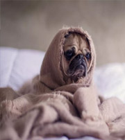 辽源有这样的手机号码，留不住钱，你中枪了吗？