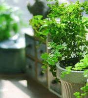 辽源专属于你的开运指南，助你鸿运当头福满身！