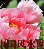 辽源预示你财运上升，姻缘可成的梦境，快来看看吧！