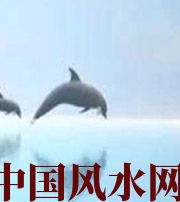 辽源做梦梦到这些，是要富裕的征兆！